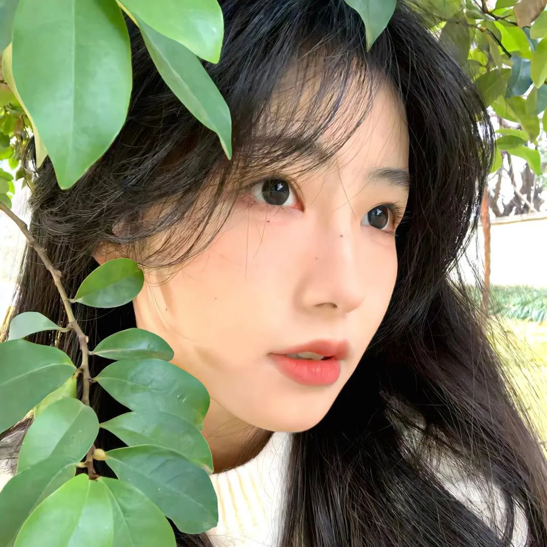 出走的决心